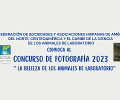 Invitación al Concurso de Fotografía FeSAHANCCCAL 2023