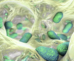 Descubren un nuevo antibiótico eficaz contra una superbacteria mortal