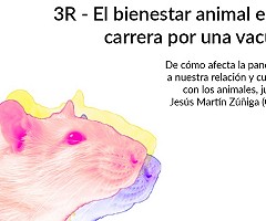 Podcast: 3R-El bienestar animal en la carrera por una vacuna, con Jesús Zúñiga