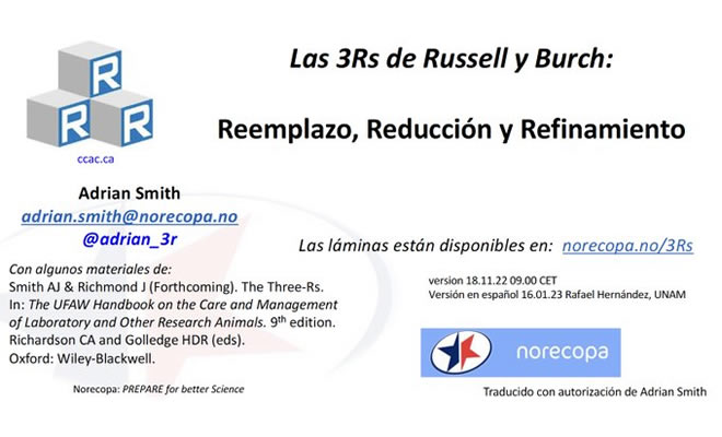 PDF en español sobre las 3Rs