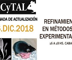XX Jornada de Actualización - AACyTAL