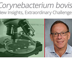 Webinar: Corynebacterium bovis: New Insights, Extraordinary Challenges