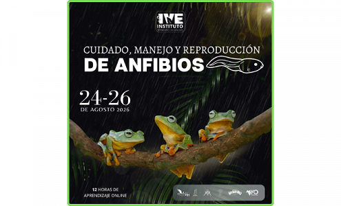 Curso online organizado por IVE Instituto sobre cuidado, manejo y reproducción de anfibios: formación especializada del 24 al 26 de agosto