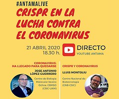 #AntamaLIVE, los encuentros digitales en los que la ciencia es la protagonista