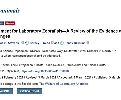 Enrichment for Laboratory Zebrafish—A Review of the Evidence and the Challenges (Artículo con Acceso Abierto)
