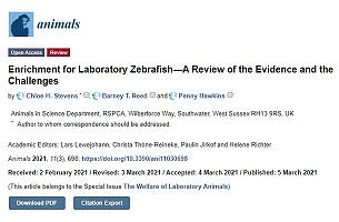 Enrichment for Laboratory Zebrafish—A Review of the Evidence and the Challenges (Artículo con Acceso Abierto)
