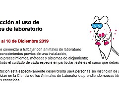 Ganadores del sorteo de las becas: Curso Introducción al uso de animales de laboratorio (Ed. 2019)