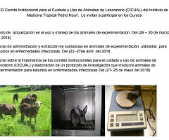 Cursos organizados por el CICUAL del Instituto de Medicina Tropical Pedro Kourí
