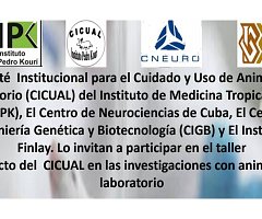 Taller: 