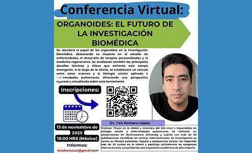 Conferencia Virtual FESAHANCCCAL: 
