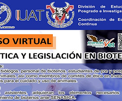 Curso Virtual: 