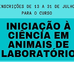 Curso 
