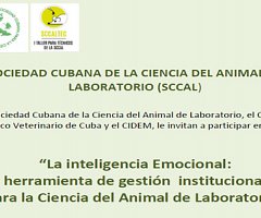 Cuba: Curso de gestión de inteligencia emocional