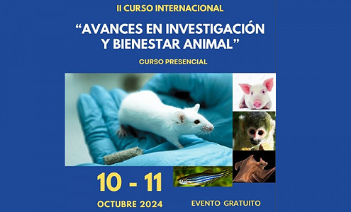 Perú: II Curso Internacional 