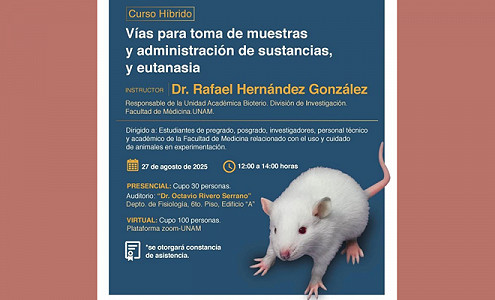 México: Curso híbrido 