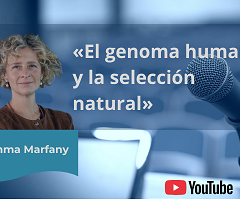 Gemma Marfany presenta una conferencia científica sobre genética y evolución (YouTube)