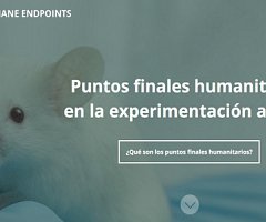 Nueva web sobre Punto Final