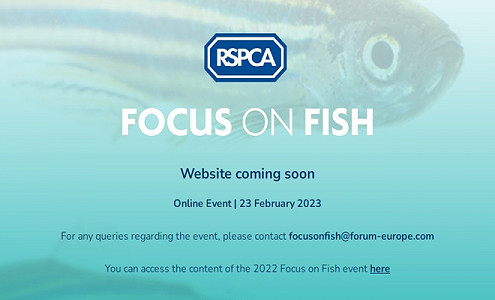 Third Meeting Focus on Fish: Online y gratuito