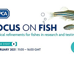 Focus on Fish: Practical refinements for fishes in research and testing