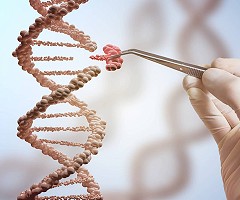 ¿Por qué no se usa ya la modificación genética para eliminar las enfermedades?