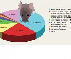 Algunas razones por las que necesitamos animales en la investigación