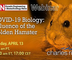 Webinar - COVID-19 Biology: Influence of the Golden Hamster