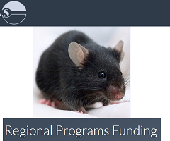 ICLAS finantial support to programs and activities 2021