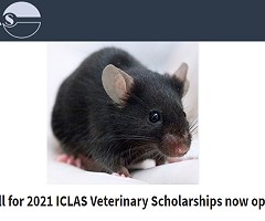 ICLAS: Becas en programas de maestría para veterinarios