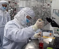 Un estudio confirma que los monos que han sobrevivido al COVID-19 pueden desarrollar inmunidad a la enfermedad