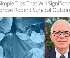 Webinar: 6 Simple Tips That Will Significantly Improve Rodent Surgical Outcomes