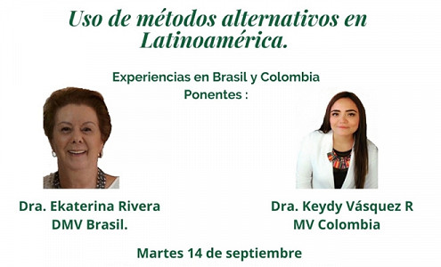 Tercer webinar - Uso de métodos alternativos en América latina