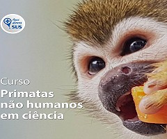 Curso Primatas não humanos em ciência