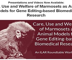 Presentaciones y videos ahora disponibles: Cuidado, uso y bienestar de los monos titíes como modelos animales para la investigación biomédica basada en la edición de genes