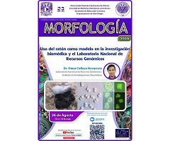 La UNAM realizará una conferencia sobre el uso del ratón como modelo en investigación biomédica