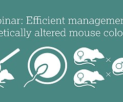 Webinar on efficient management of genetically altered mouse colonies