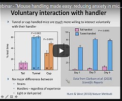 Mouse handling webinar: Disponible sin costo