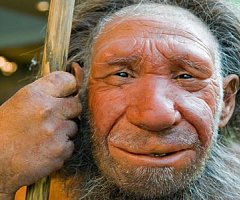 Un gen Neandertal detona la diabetes en los latinoamericanos