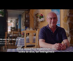 Netflix: Documental Human Nature