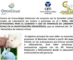 Taller ONCOCICUAL