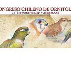 XI Congreso Chileno de Ornitología