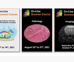 Pathbio: Short Courses 2021 (online y gratuitos)