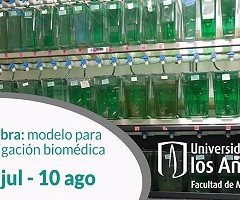 Curso Pez Cebra: modelo para investigación biomédica