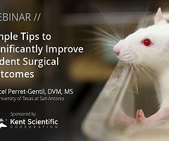 Webinar: Simple Tips to Significantly Improve Rodent Surgical Outcomes
