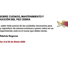 Aula Virtual Bioterio: Curso sobre cuidado, mantenimiento y reproducción del pez cebra