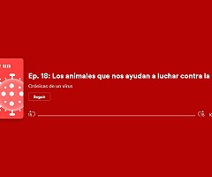 Podcast | Ep. 18: Los animales que nos ayudan a luchar contra la Covid-19 no son domésticos