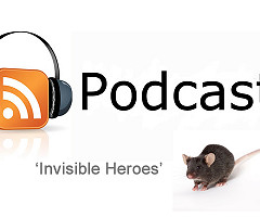 Podcast: Invisible Heroes