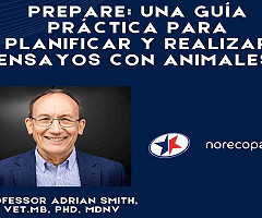 Conferencia Virtual: 