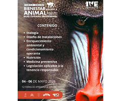 Bienestar animal en primates: abren inscripciones para curso online especializado