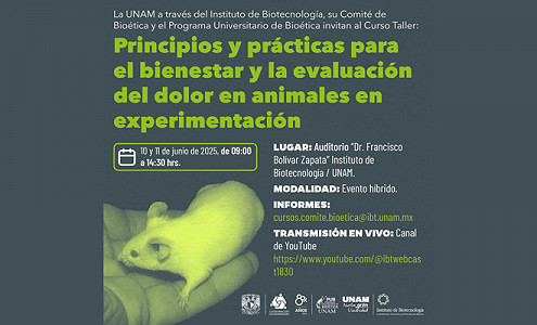 Curso Taller - Principios y prácticas para el bienestar y la evaluación del dolor en animales en experimentación