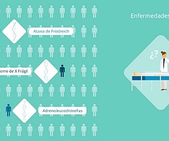 Video: La investigación con modelos animales, vital para las enfermedades raras